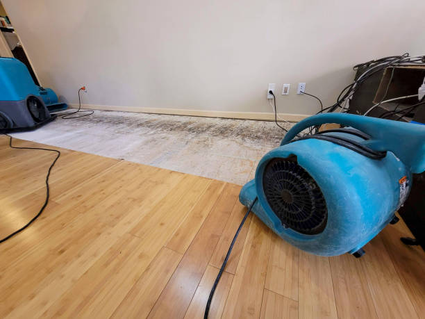 Reliable Basement Flood Cleanup contractor in Howard, CO by Hirex Water Damage
