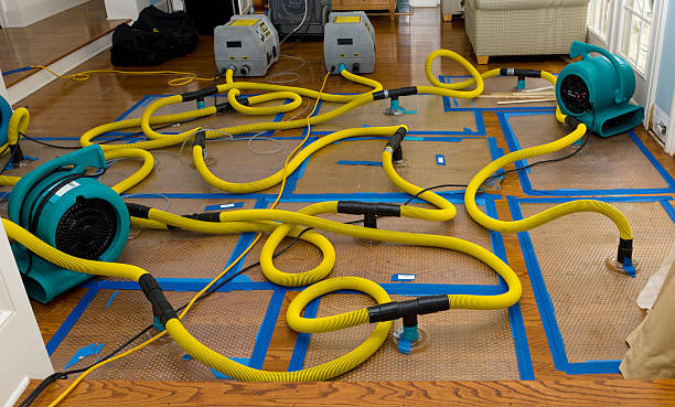 Professional Basement Flood Cleanup technician working in Howard, CO